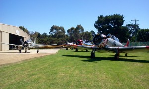 Southern Knights T6 Harvards with a T28 Trojan